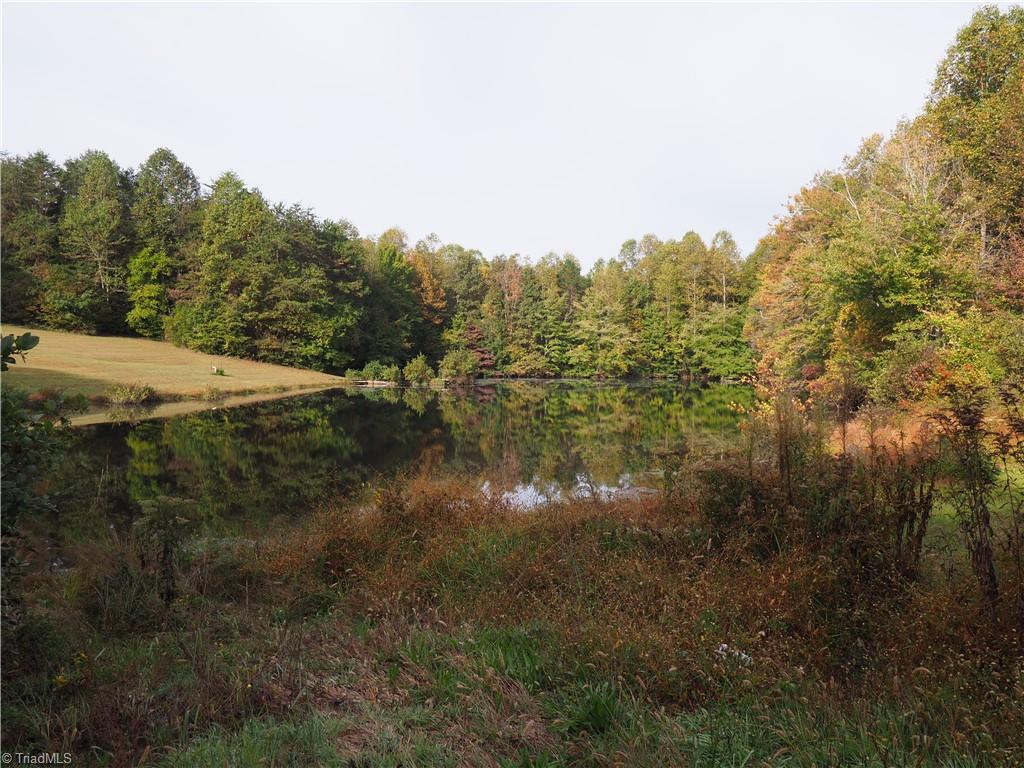 32-acres Armstrong Road Jonesville, NC 28642 - Photo 13 of 31