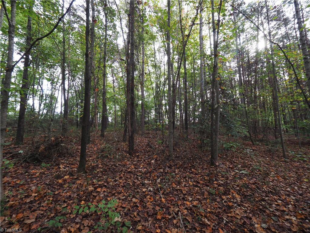 32-acres Armstrong Road Jonesville, NC 28642 - Photo 15 of 31