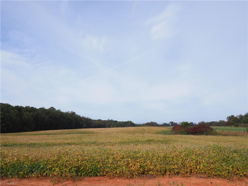 32-acres Armstrong Road Jonesville, NC 28642 - Photo 16 of 31