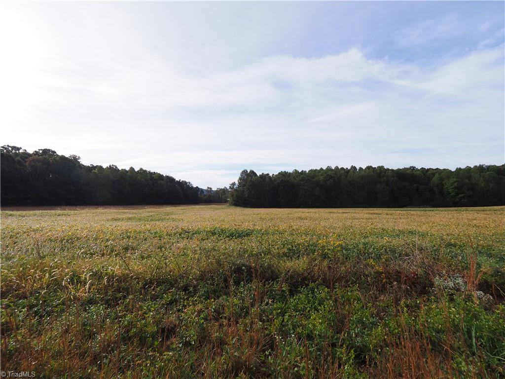 32-acres Armstrong Road Jonesville, NC 28642 - Photo 17 of 31