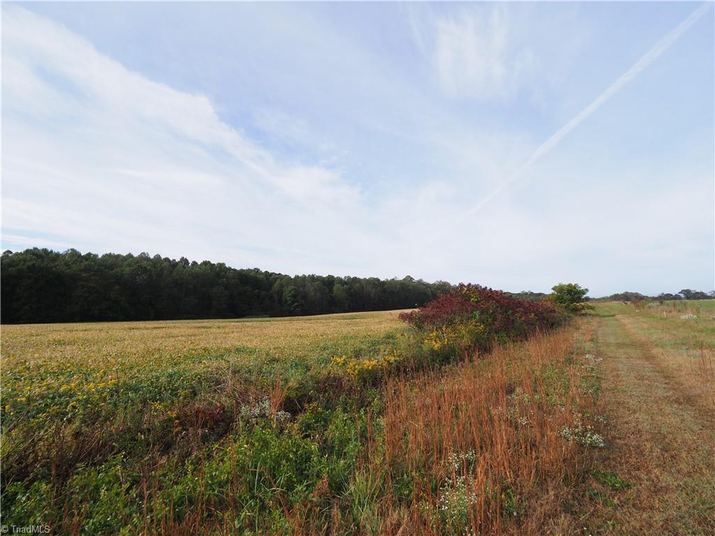 32-acres Armstrong Road Jonesville, NC 28642 - Photo 18 of 31