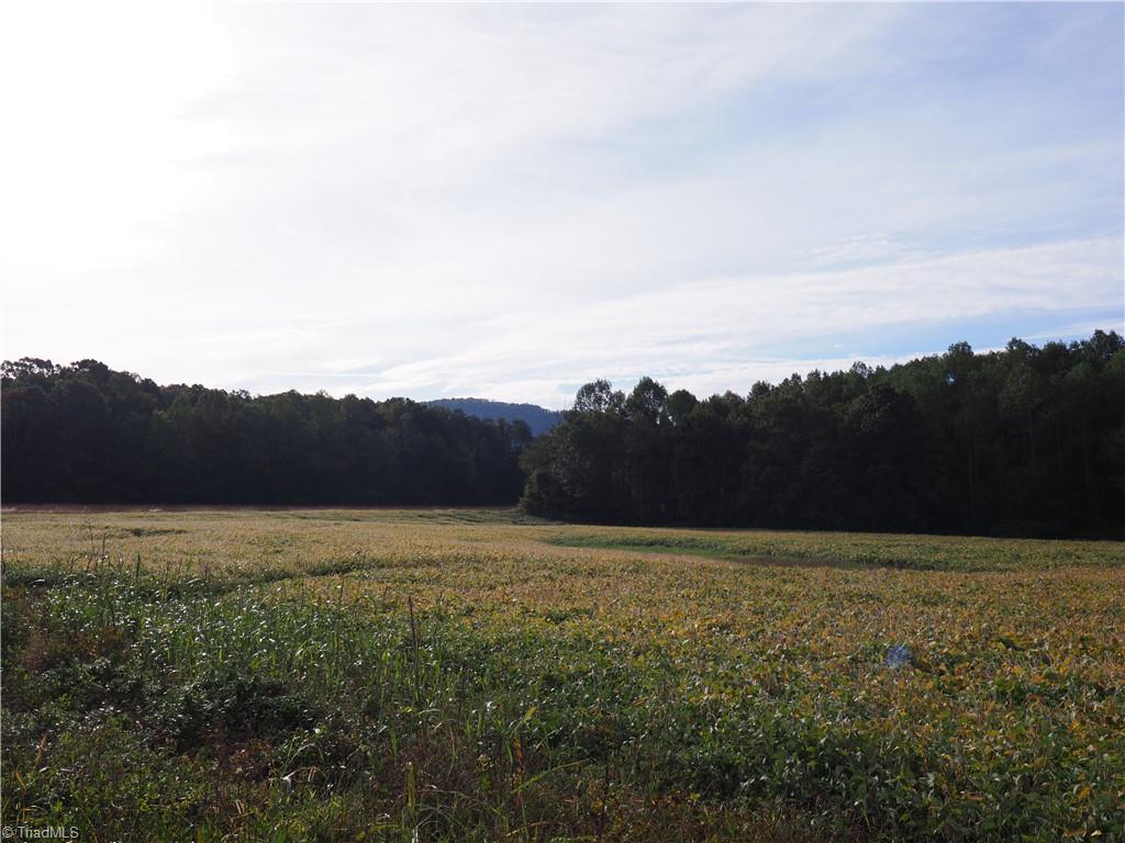 32-acres Armstrong Road Jonesville, NC 28642 - Photo 19 of 31