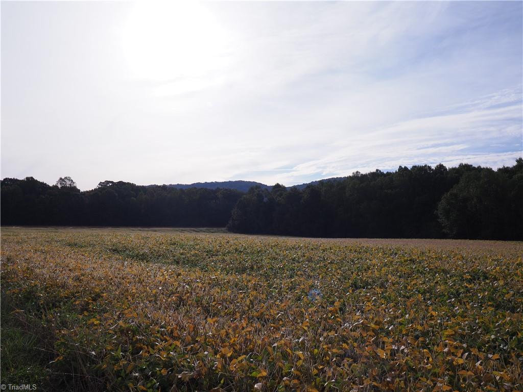 32-acres Armstrong Road Jonesville, NC 28642 - Photo 20 of 31