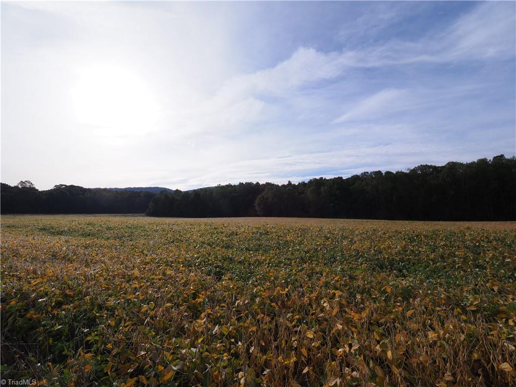 32-acres Armstrong Road Jonesville, NC 28642 - Photo 21 of 31