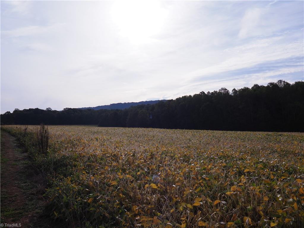 32-acres Armstrong Road Jonesville, NC 28642 - Photo 23 of 31