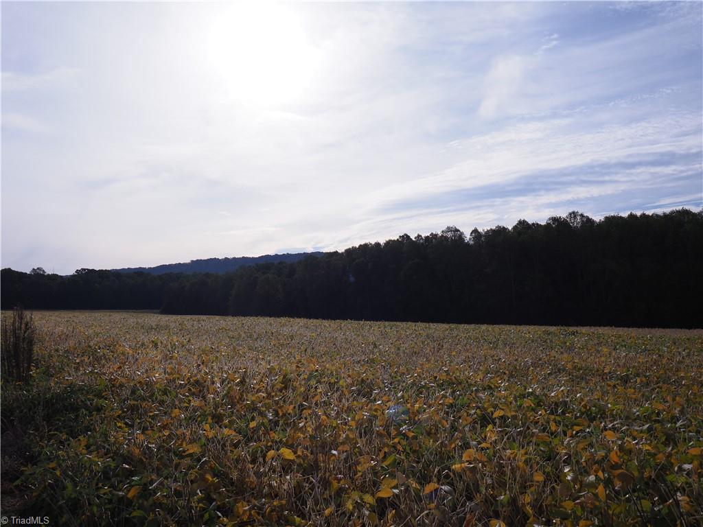 32-acres Armstrong Road Jonesville, NC 28642 - Photo 24 of 31