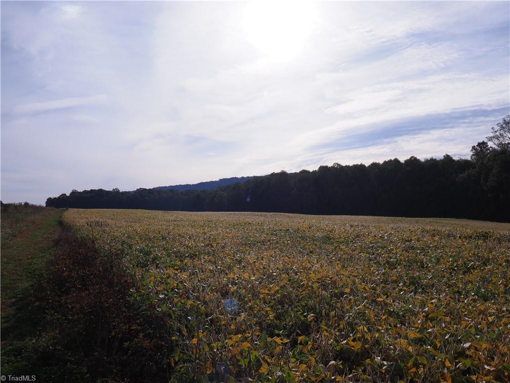 32-acres Armstrong Road Jonesville, NC 28642 - Photo 25 of 31