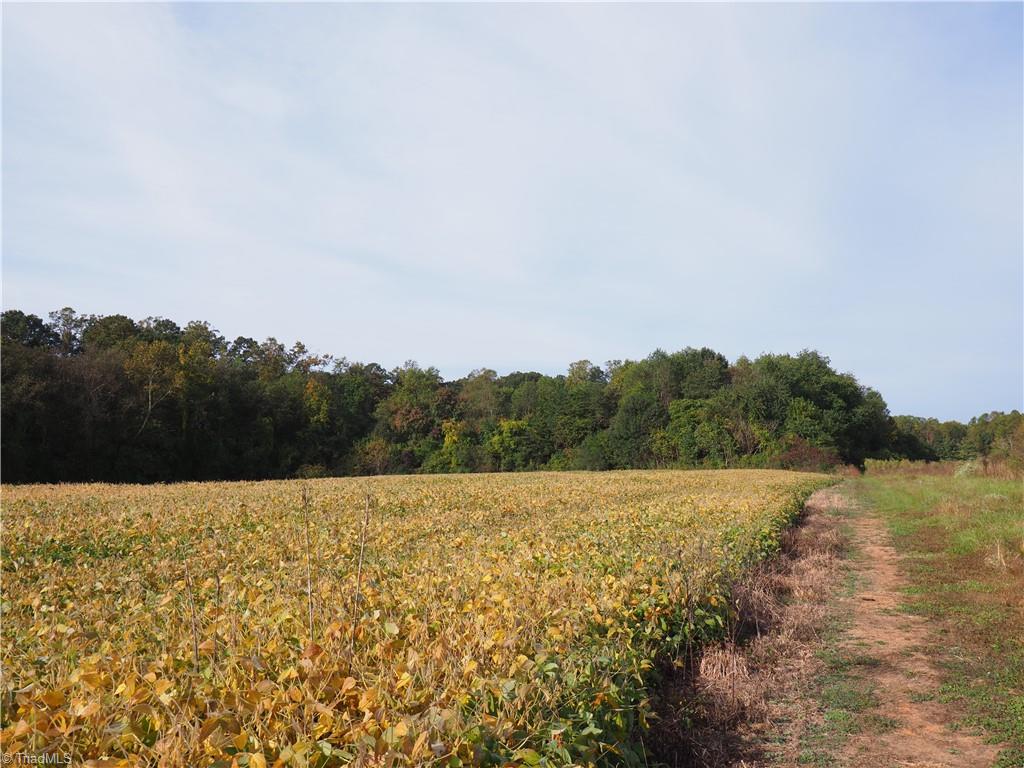 32-acres Armstrong Road Jonesville, NC 28642 - Photo 26 of 31