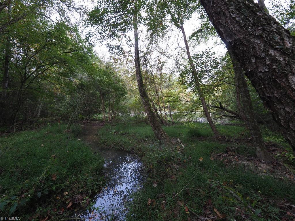 32-acres Armstrong Road Jonesville, NC 28642 - Photo 27 of 31