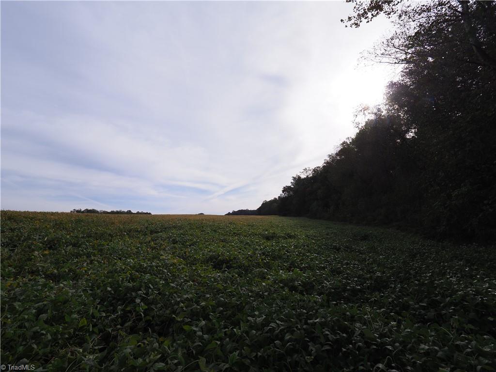 32-acres Armstrong Road Jonesville, NC 28642 - Photo 28 of 31