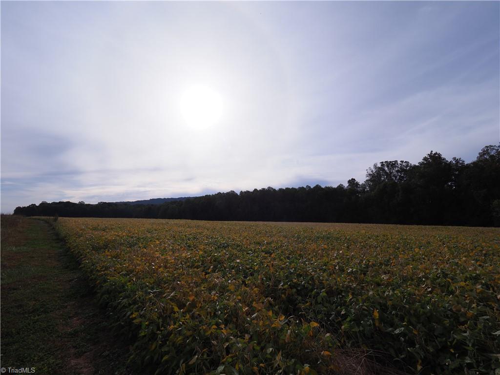 32-acres Armstrong Road Jonesville, NC 28642 - Photo 29 of 31