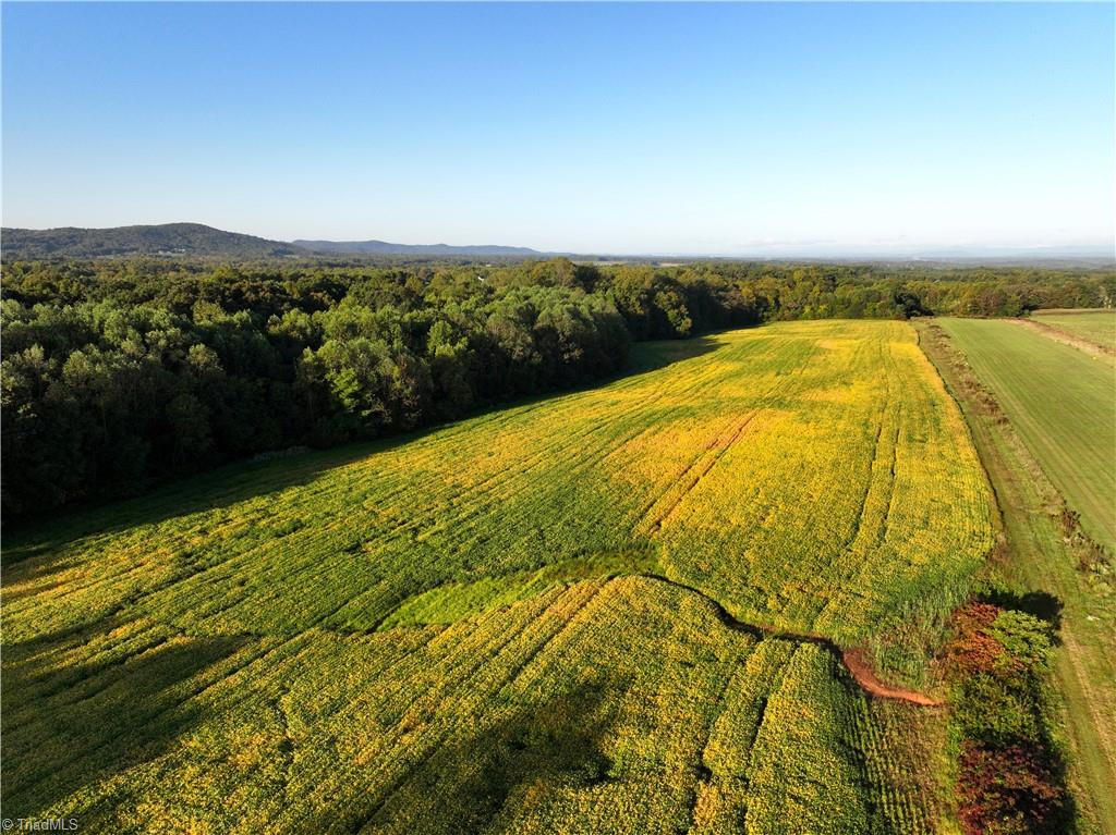 32-acres Armstrong Road Jonesville, NC 28642 - Photo 5 of 31