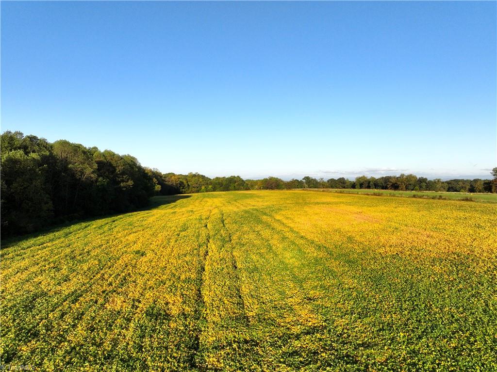 32-acres Armstrong Road Jonesville, NC 28642 - Photo 6 of 31