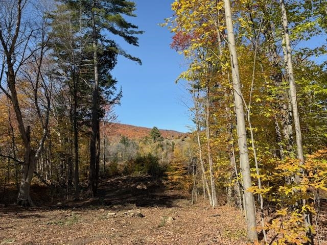 8 Okemo Acres Road Ludlow, VT 05149 - Photo 3 of 9