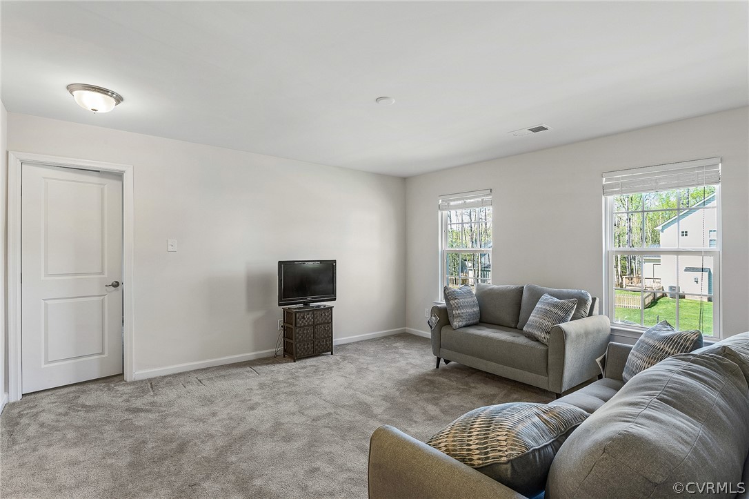 8901 Bailey Hill Road Midlothian, VA 23112 - Photo 26 of 44 Gallery Image 26