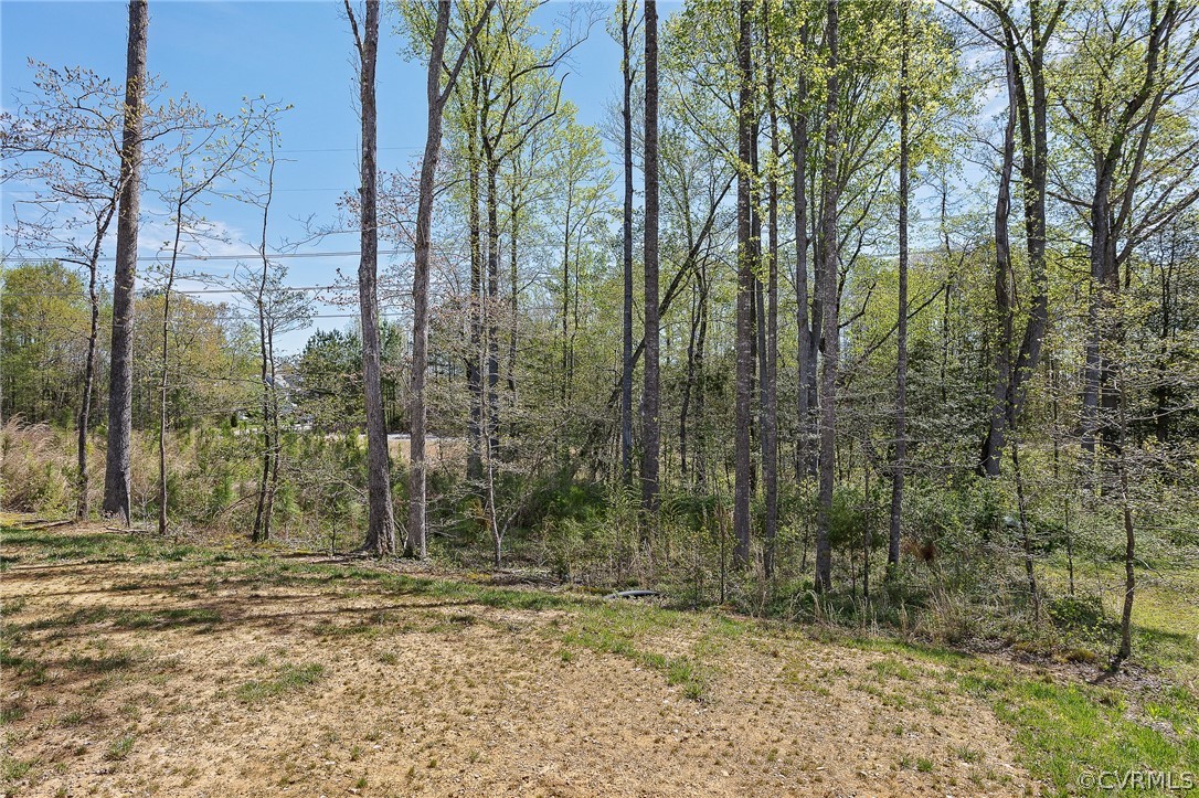 8901 Bailey Hill Road Midlothian, VA 23112 - Photo 43 of 44 Gallery Image 43