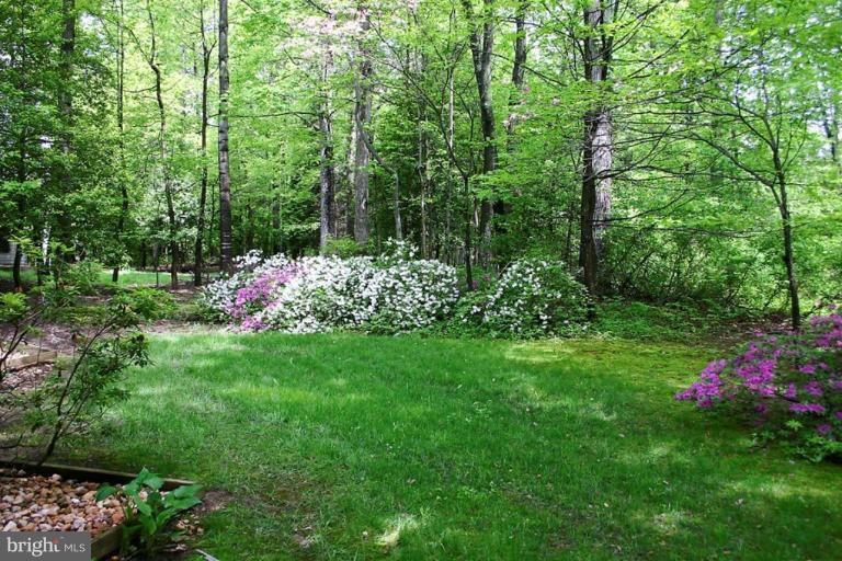 11584 Greenwich Point Road Reston, VA 20194 - Photo 2 of 23 a view of a flowers in a yard