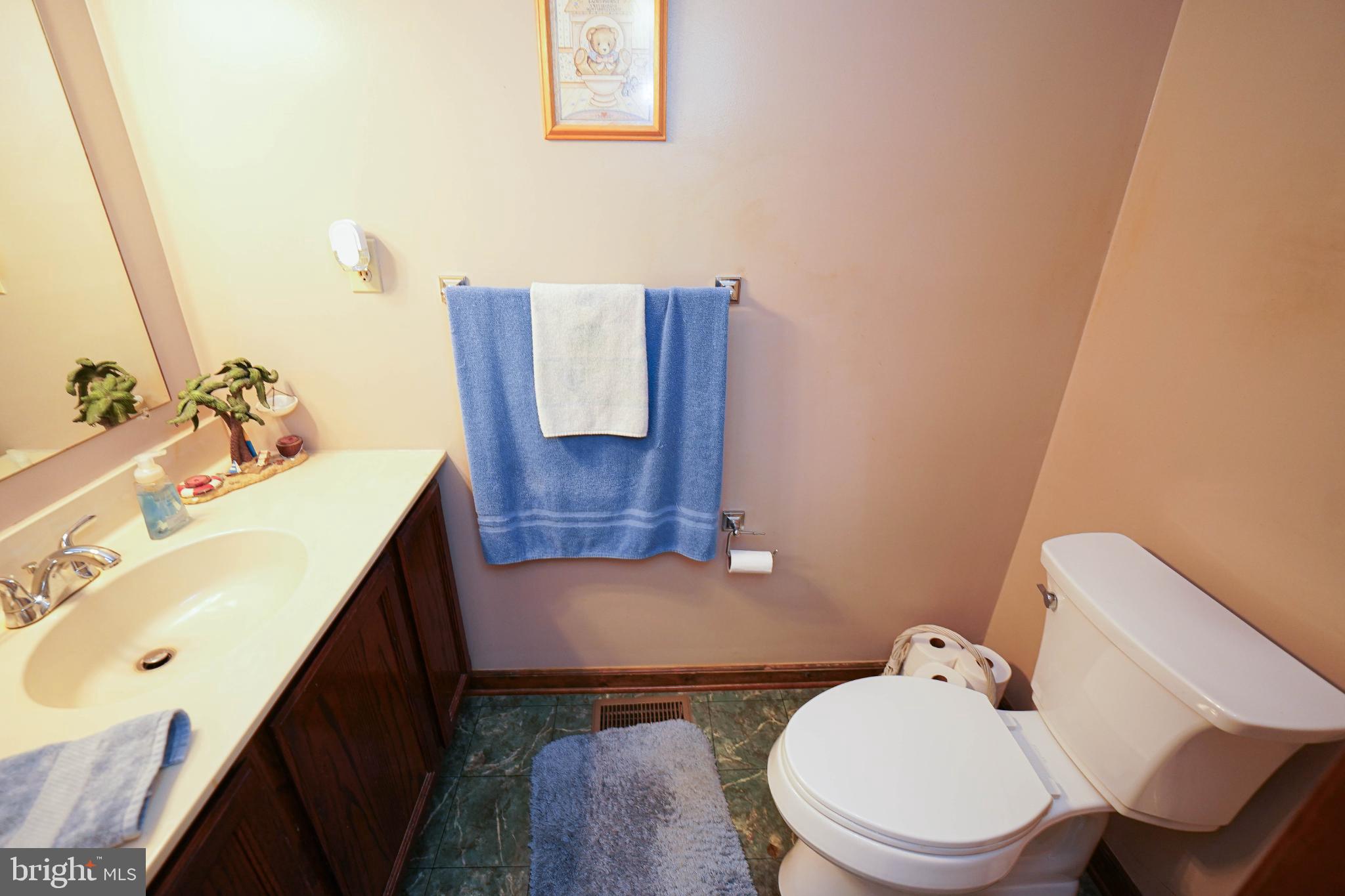 27949 Phoenix Church Road Marion Station, MD 21838 - Photo 25 of 82 a bathroom with a sink vanity mirror and toilet
