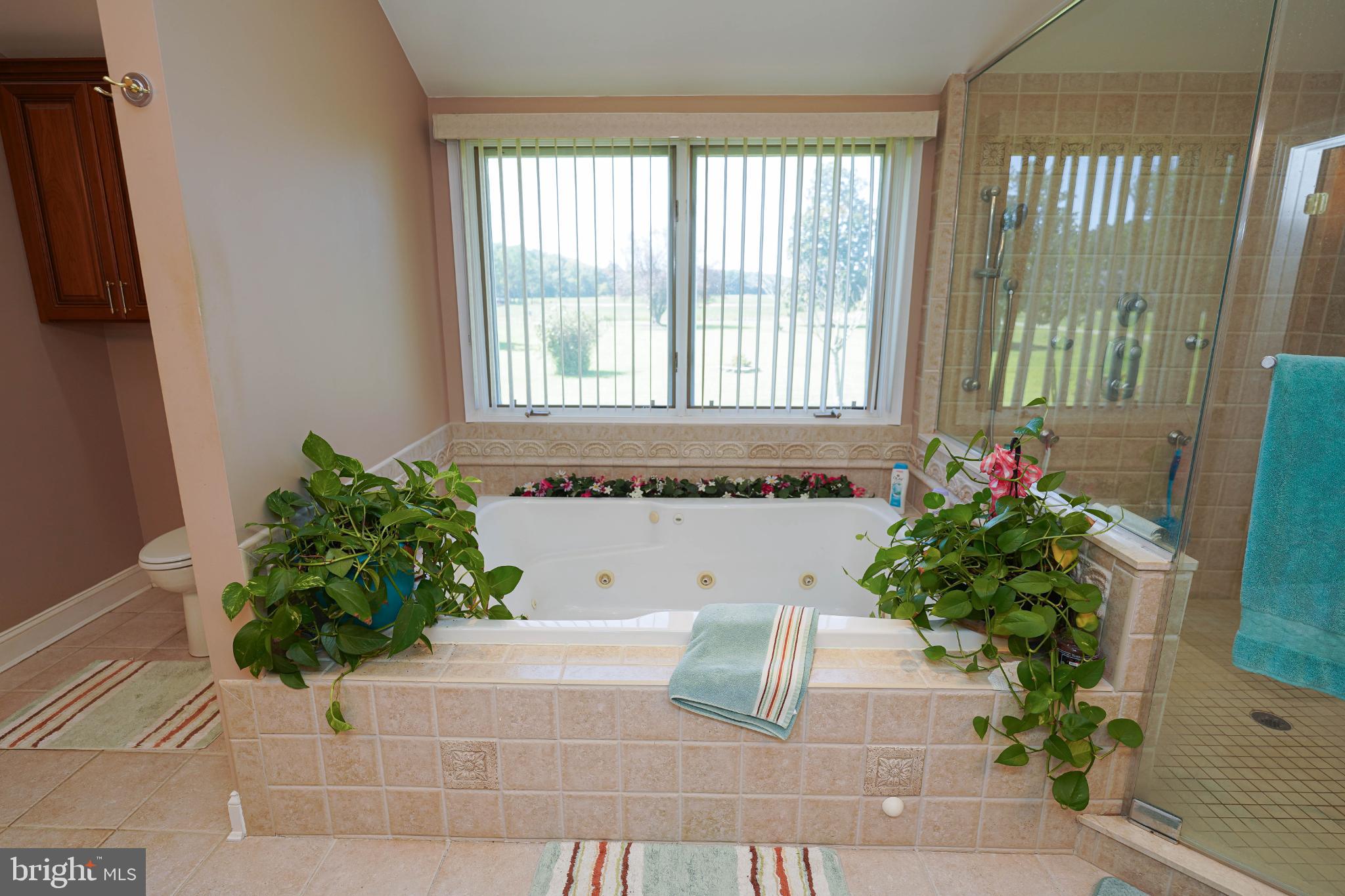 27949 Phoenix Church Road Marion Station, MD 21838 - Photo 40 of 82 a white bath tub sitting in a bathroom next to a window