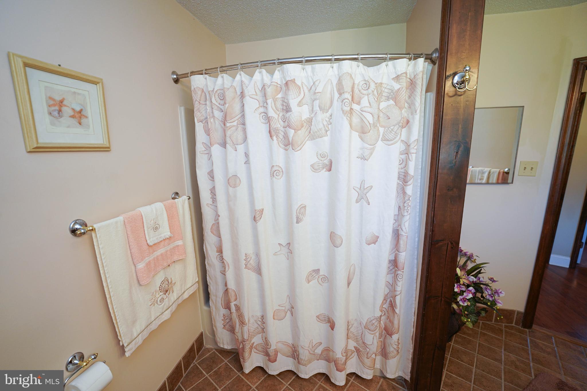 27949 Phoenix Church Road Marion Station, MD 21838 - Photo 53 of 82 Charming bathroom with coastal decor accents.