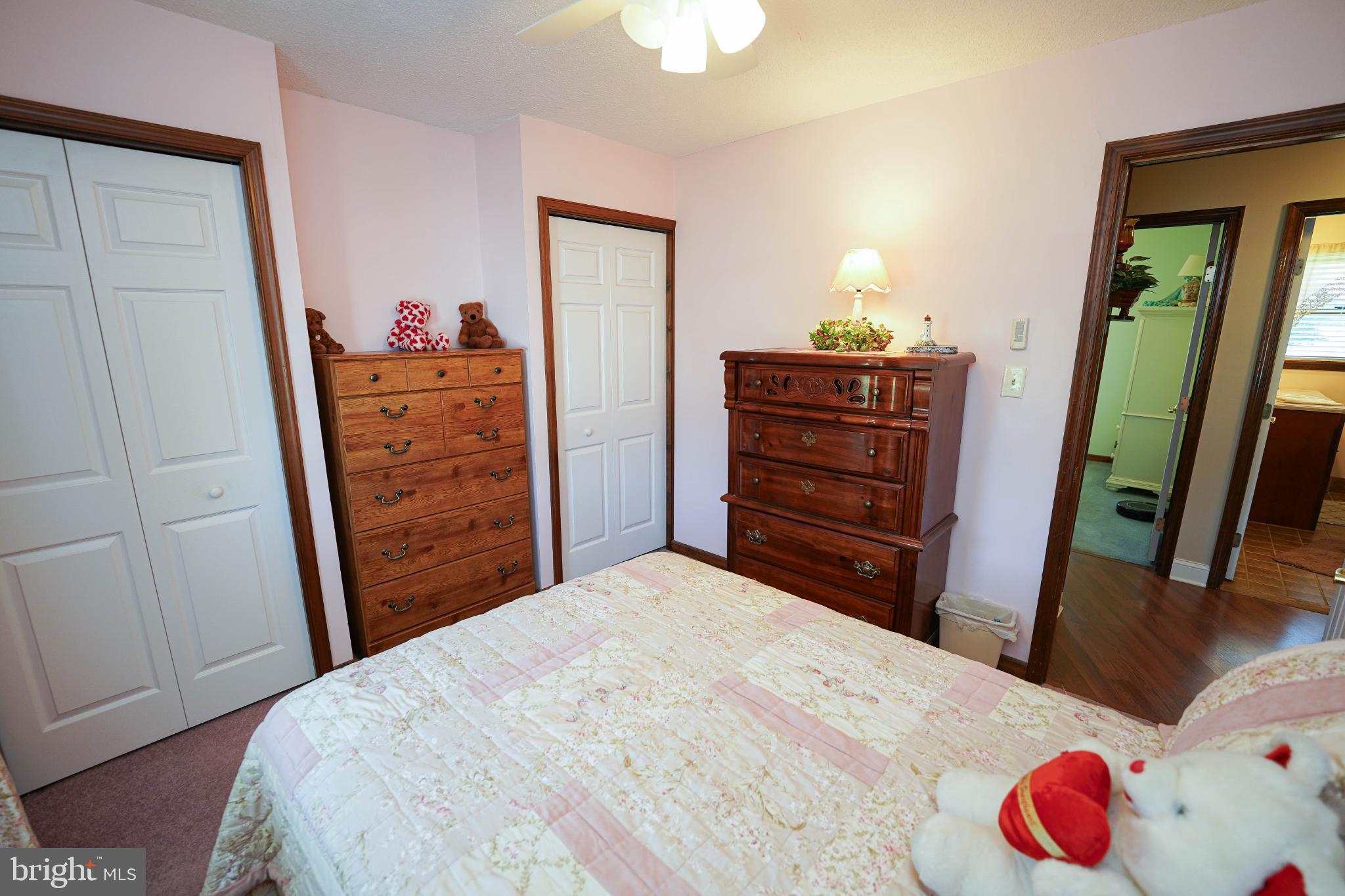 27949 Phoenix Church Road Marion Station, MD 21838 - Photo 62 of 82 a bedroom with a dresser and a chandelier