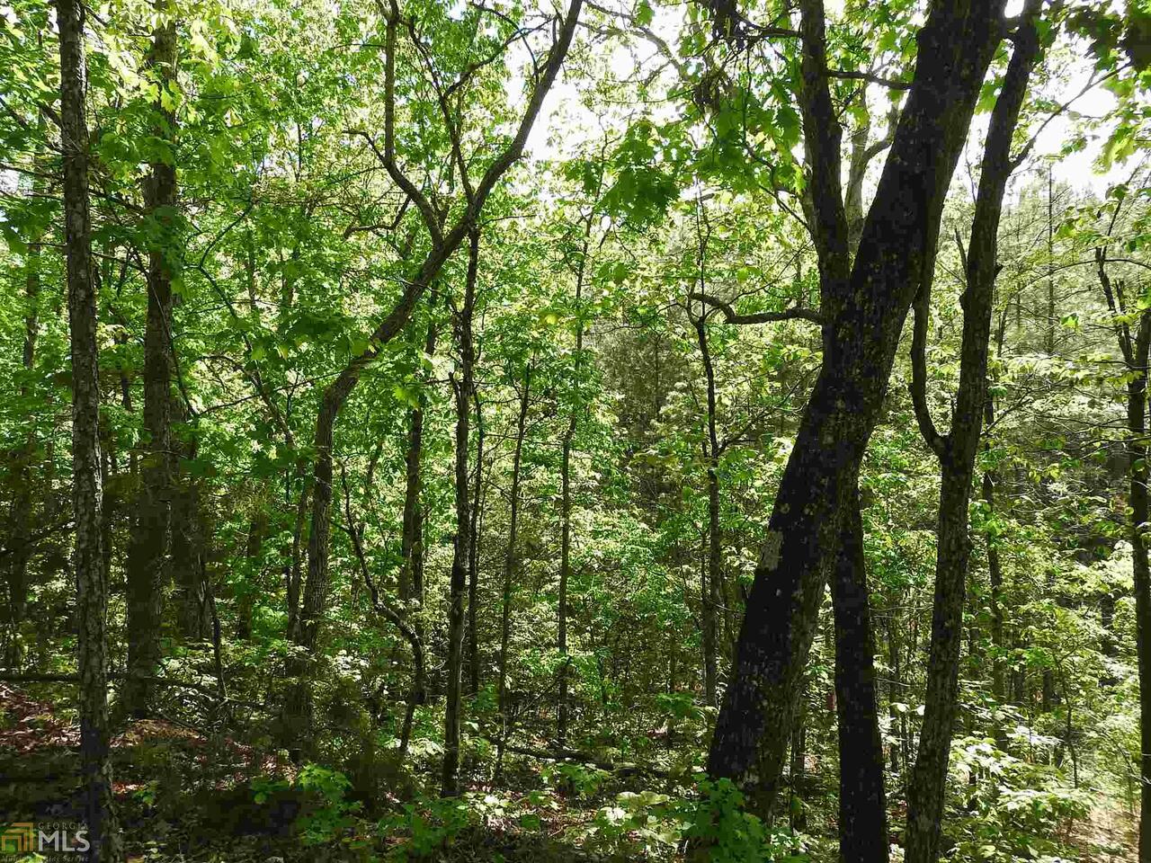 0 Griffin Road Northwest, Unit 5007PARCEL 2 Cartersville, GA 30120 - Photo 19 of 27 a view of forest