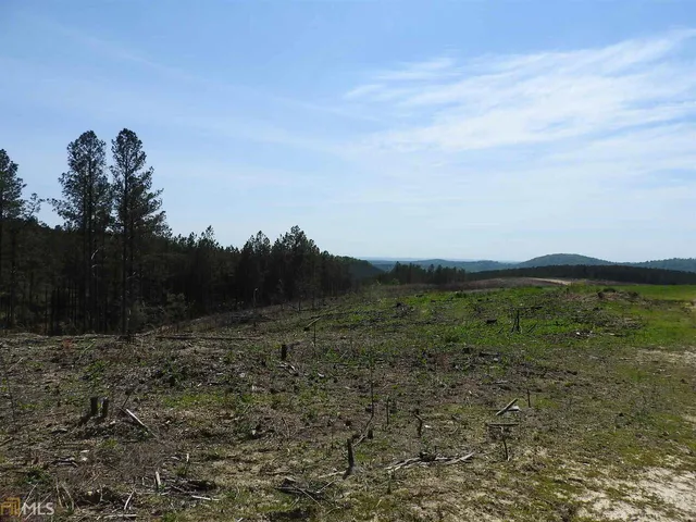 a view of a field with an ocean