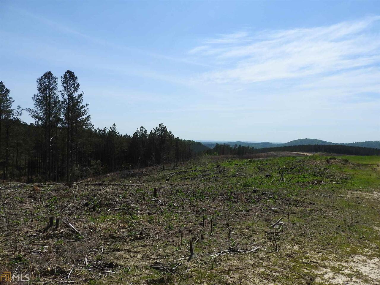 0 Griffin Road Northwest, Unit 5007PARCEL 2 Cartersville, GA 30120 - Photo 9 of 27 a view of a field with an ocean