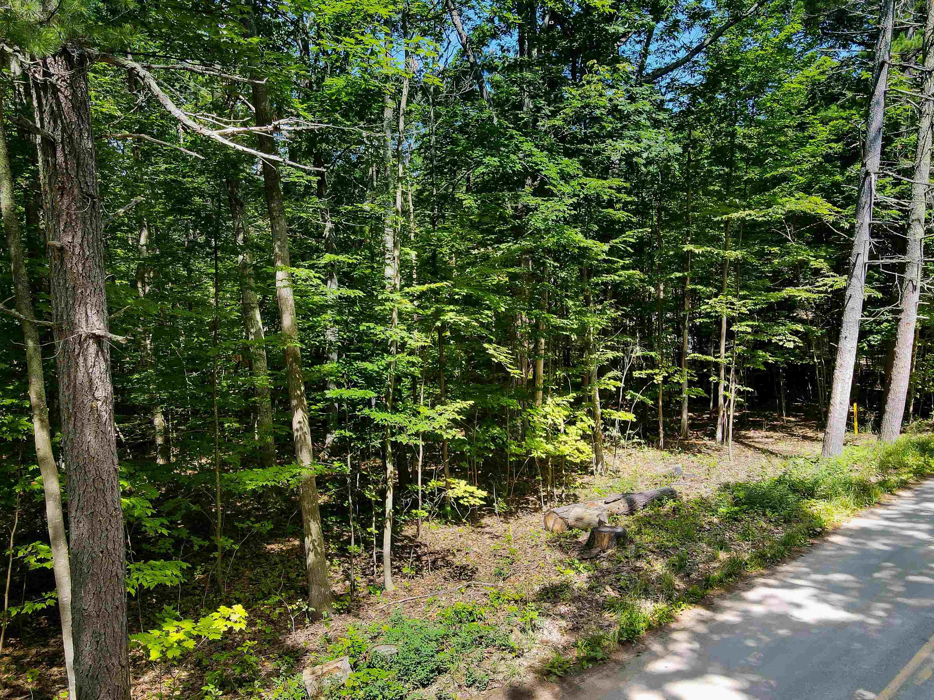 Lot 7-9 Eastern Road Traverse City, MI 49686 - Photo 2 of 9 Gallery Image 2
