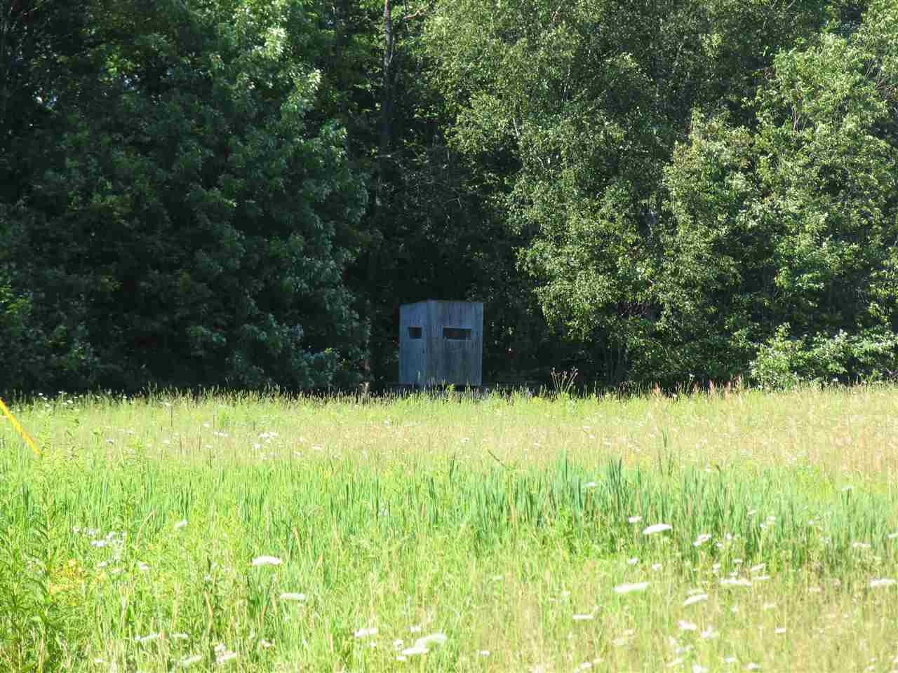 828 10 Curves Road Germfask, MI 49836 - Photo 6 of 30 1838345-5.JPG