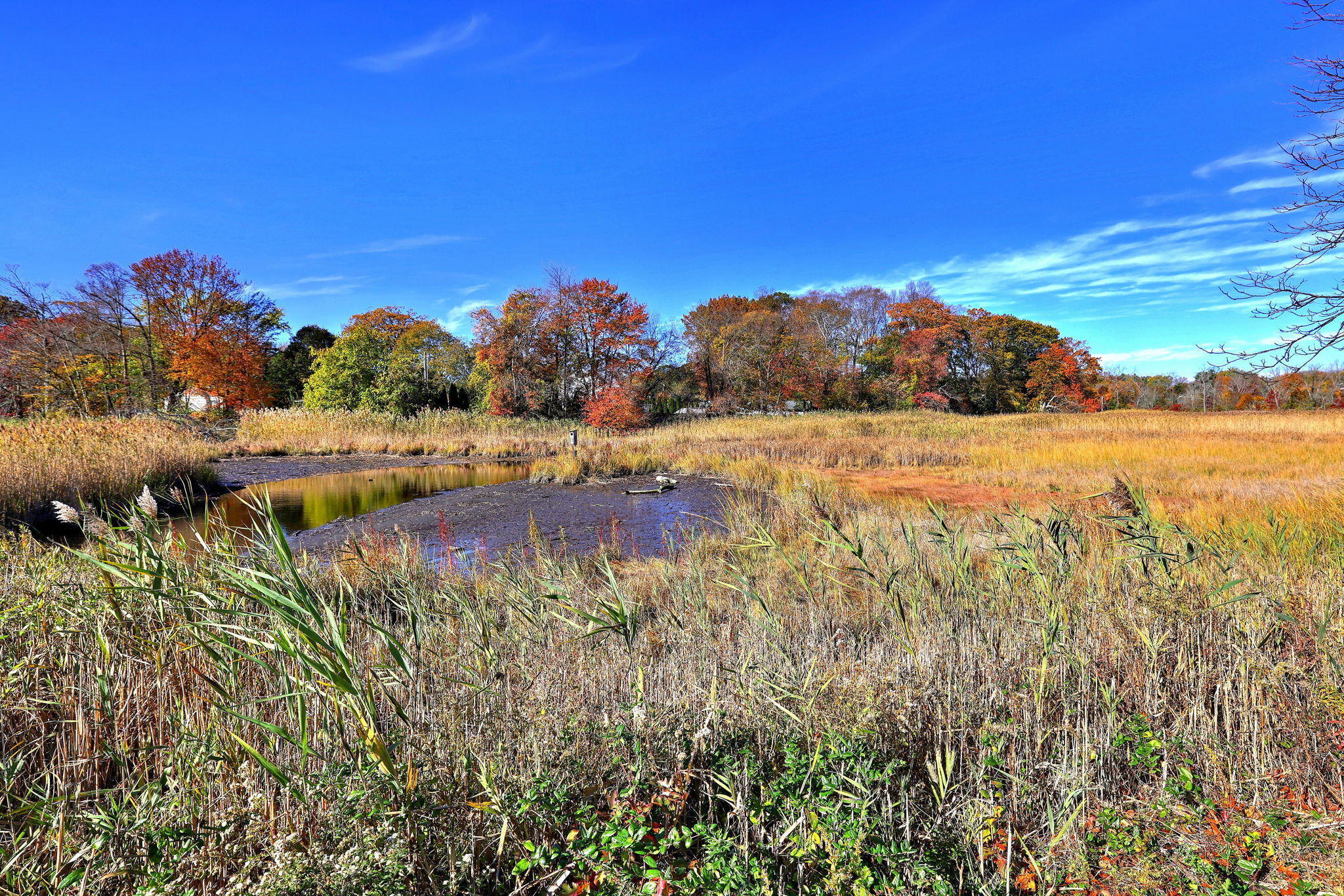 79 Cooper Road West Haven, CT 06516 - Photo 5 of 40