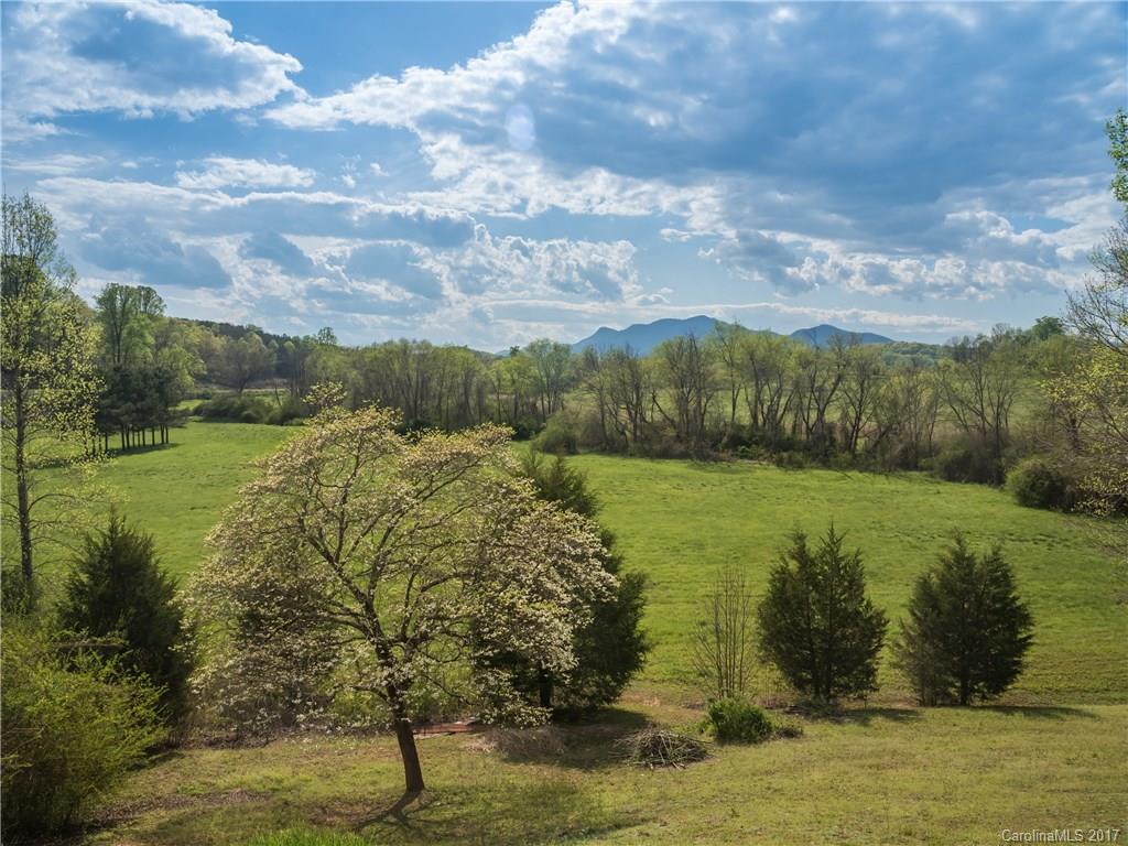689 John Shehan Road Tryon, NC 28782 - Photo 3 of 23