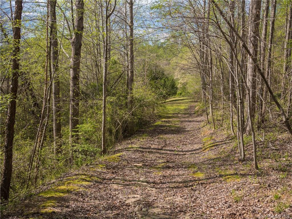689 John Shehan Road Tryon, NC 28782 - Photo 22 of 23