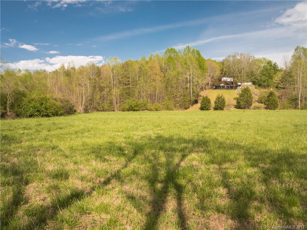 689 John Shehan Road Tryon, NC 28782 - Photo 4 of 23