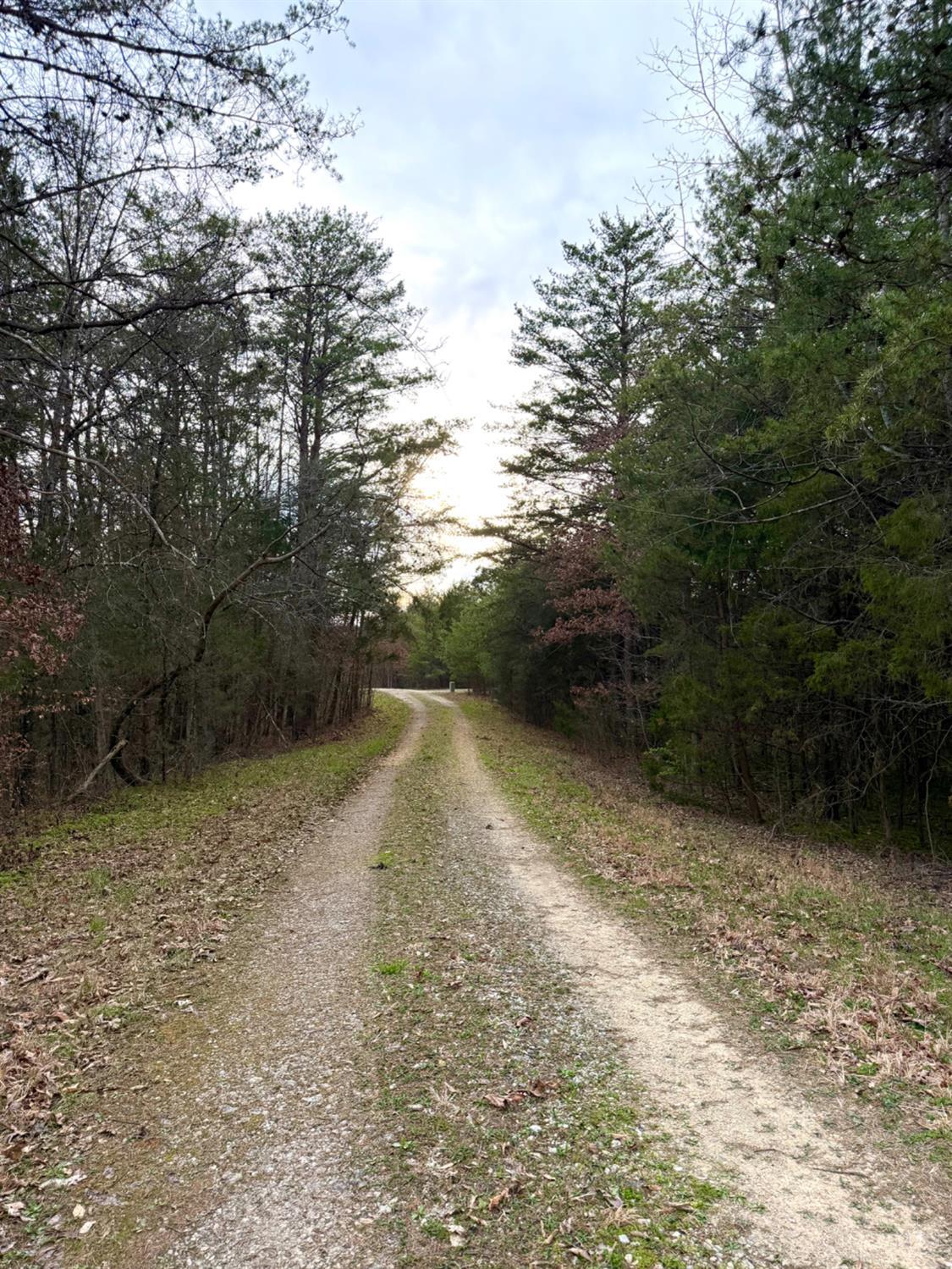 1600 Magee Jones Road Peebles, OH 45660 - Photo 26 of 91