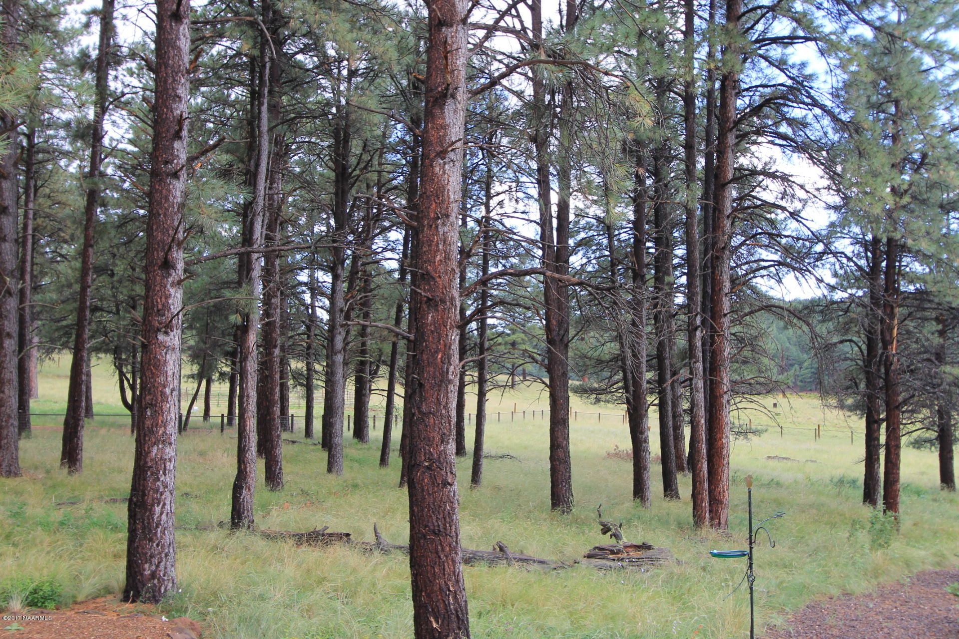 5714 Rudds Tank Road Flagstaff, AZ 86001 - Photo 75 of 75 IMG_0751