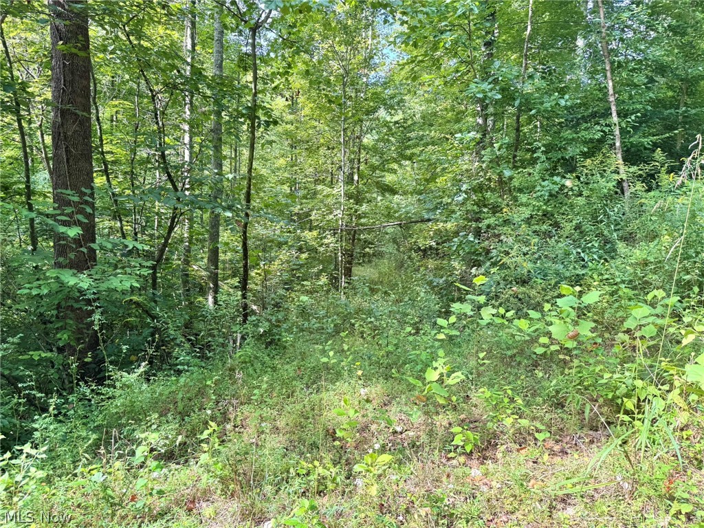 2 Nicut Run Road Rosedale, WV 26636 - Photo 20 of 24 Gallery Image 20