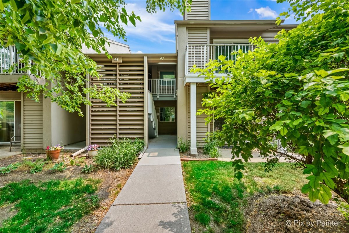 a front view of a house with a yard and potted plants