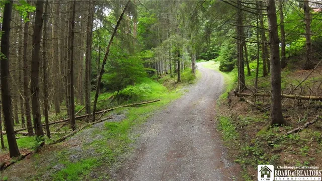 $310,000 | 3220 Mc Clure Hollow Road, Allegany, NY 14706