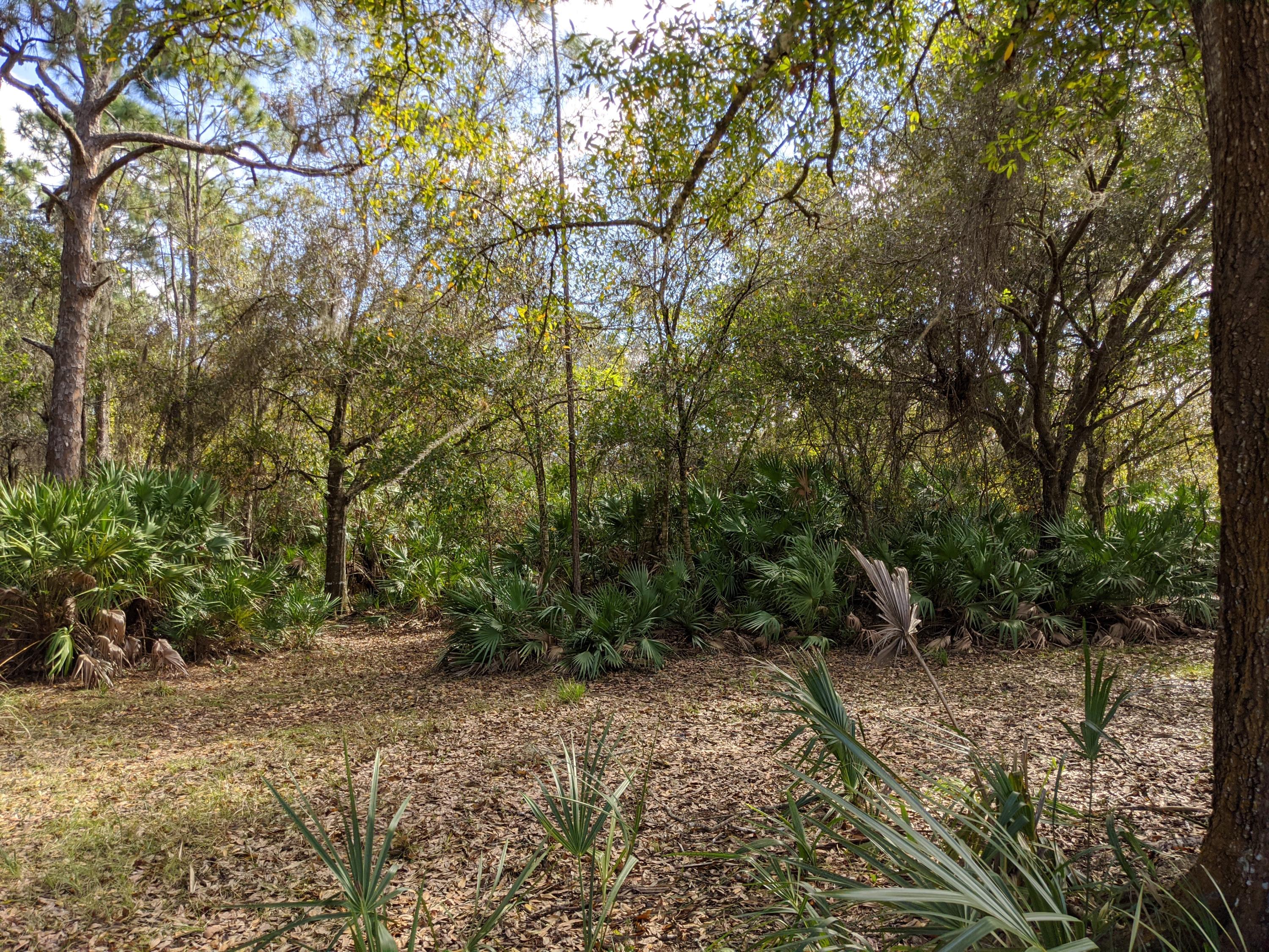 7851 Southwest Fox Brown Road Indiantown, FL 34956 - Photo 65 of 67 IMG_20210109_115446