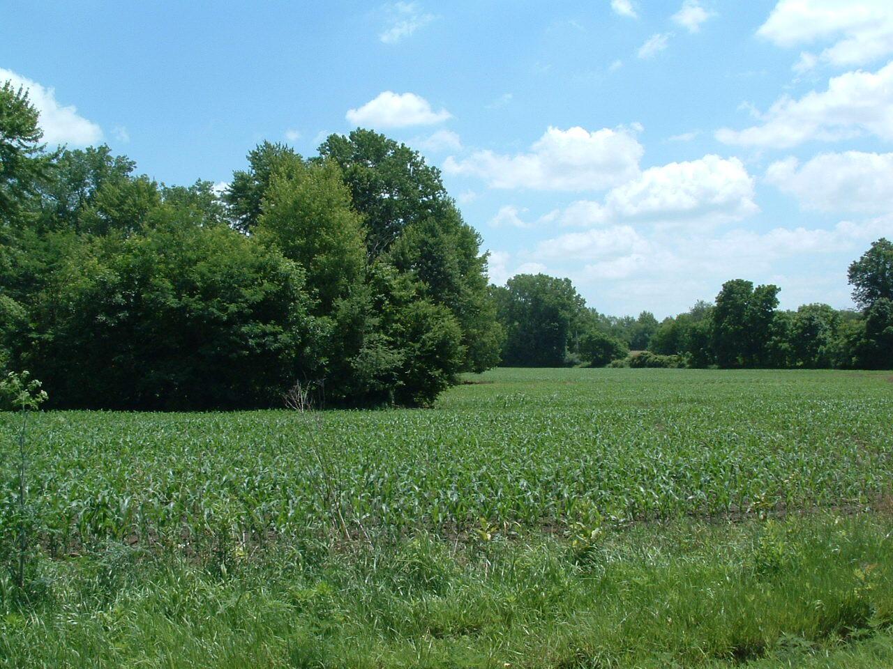 0 Clover Valley Road Northwest Johnstown, OH 43031 - Photo 11 of 16 DSCF0010