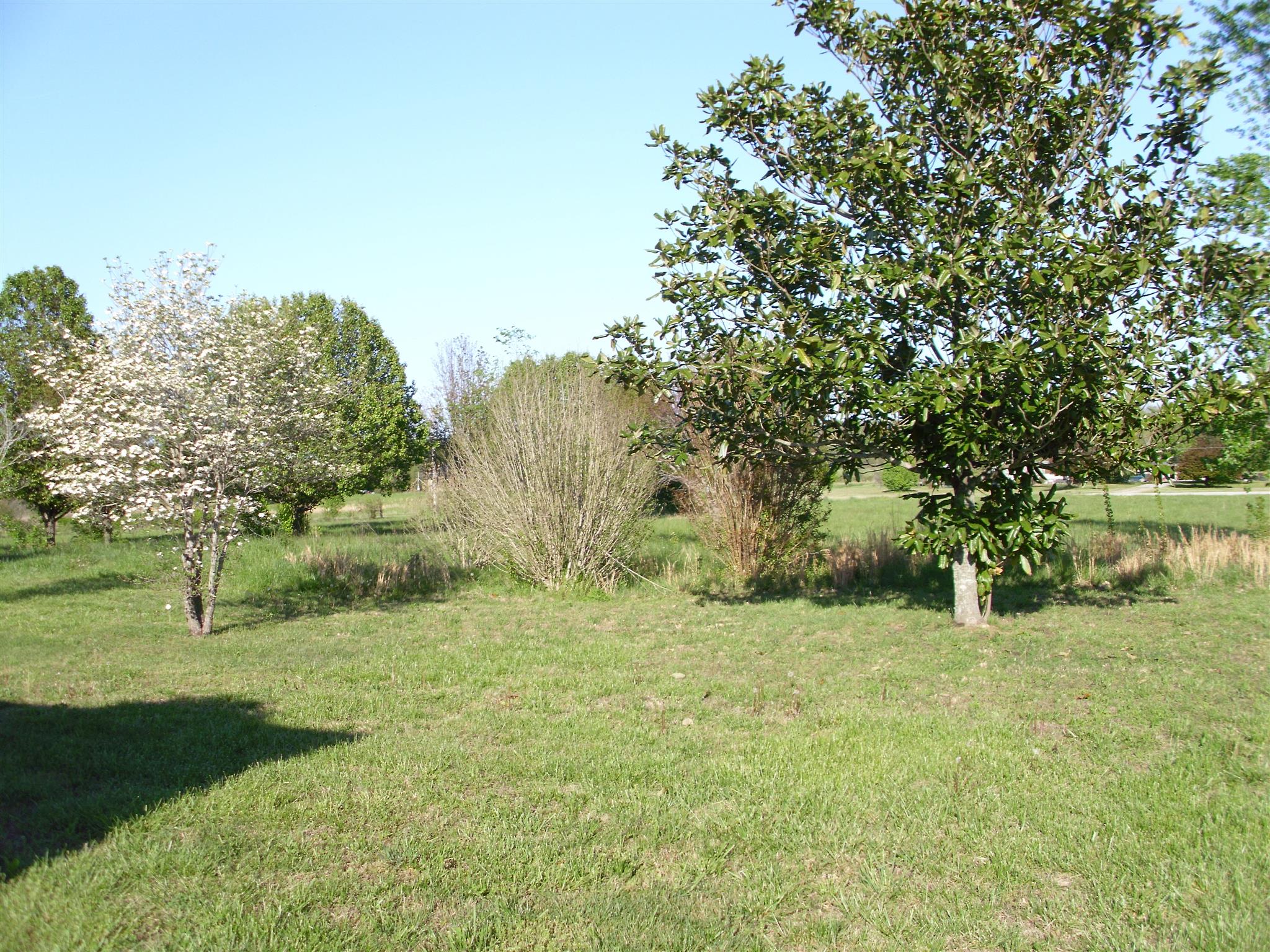 3763 Hoods Branch Road Springfield, TN 37172 - Photo 15 of 15 a view of a field with trees in the background