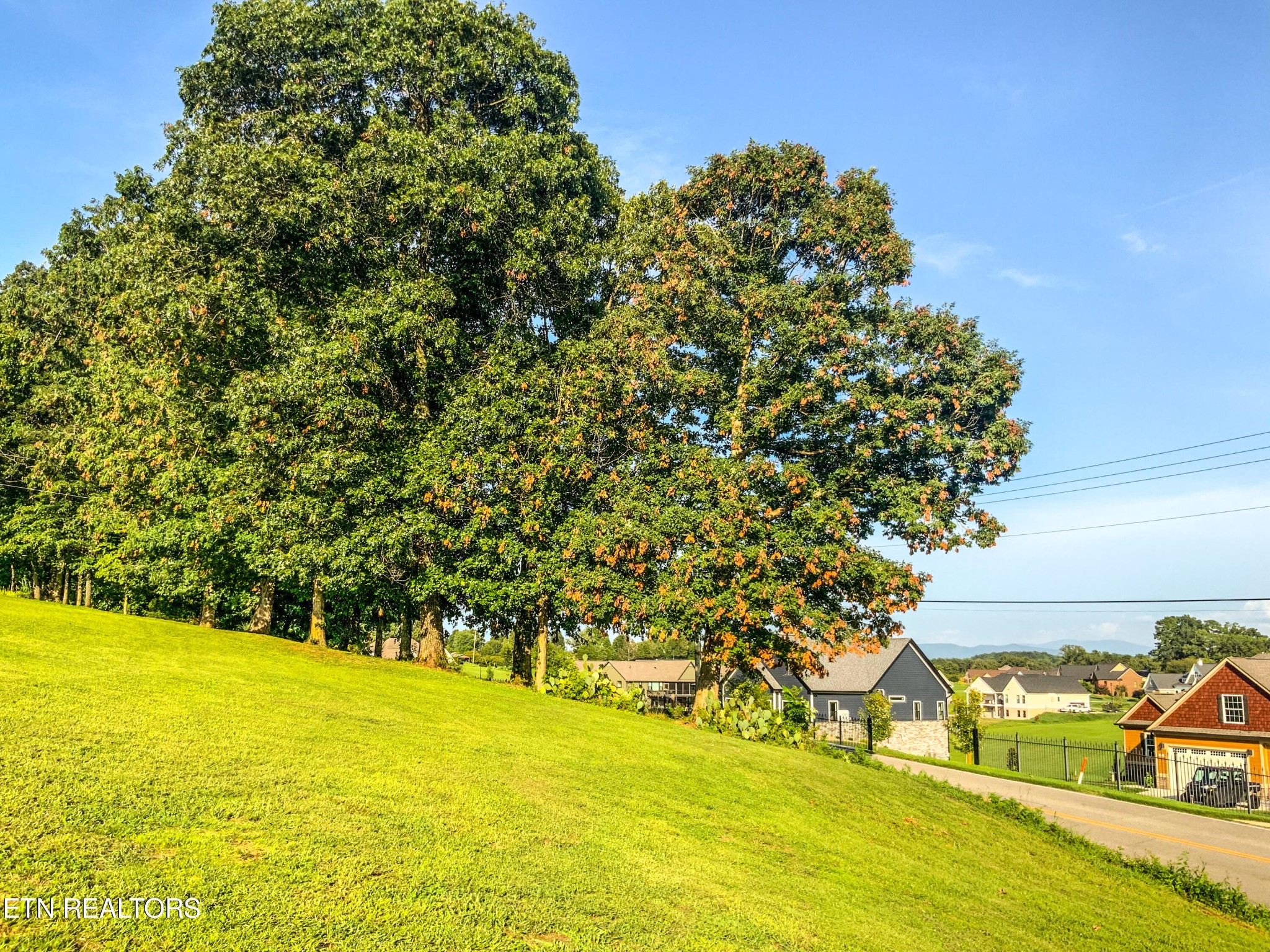 7960 Morganton Road Greenback, TN 37742 - Photo 12 of 17 Gallery Image 12