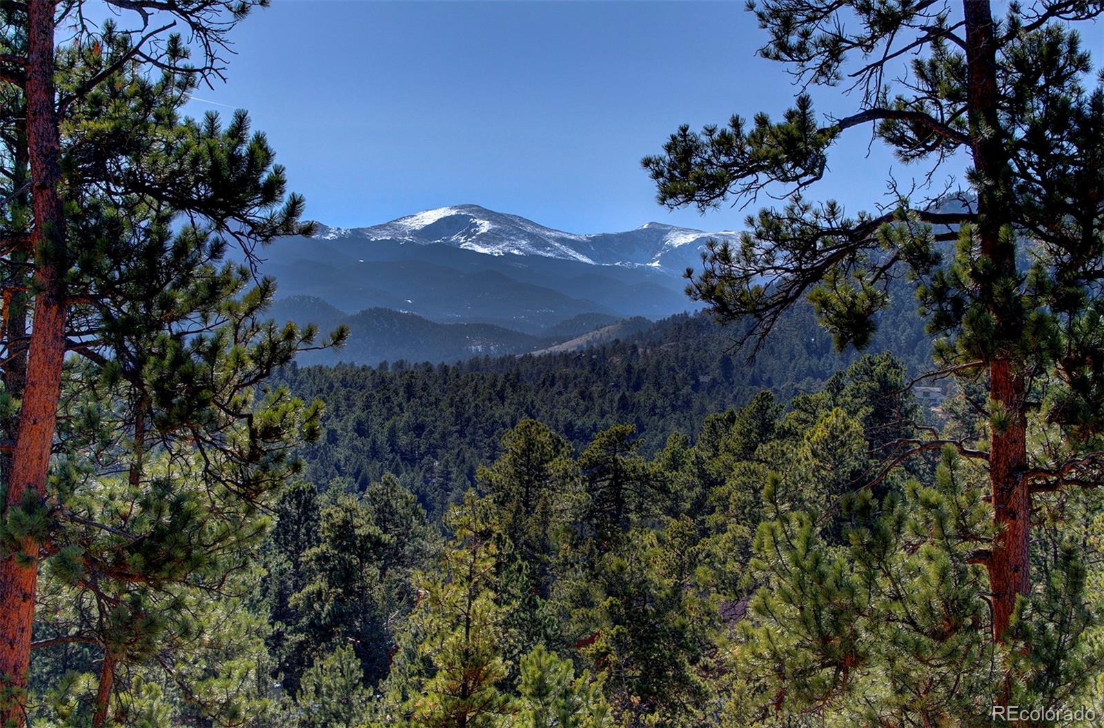 134 Cedar Way Evergreen, CO 80439 - Photo 27 of 40 a view of a house with a yard