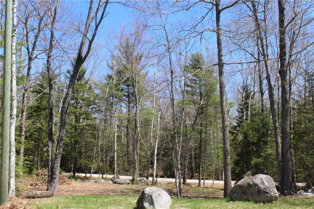 123 Decorum Road Surry, ME 04684 - Photo 31 of 33 Photo