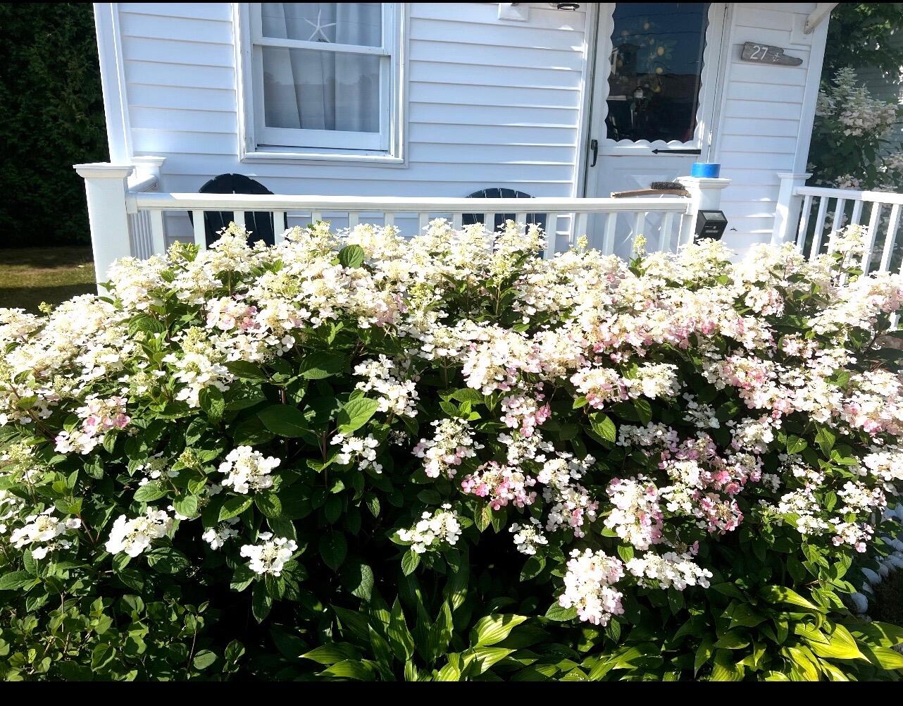 1139 Post Road, Unit 27 Wells, ME 04090 - Photo 38 of 41 IMG_20260302_182124