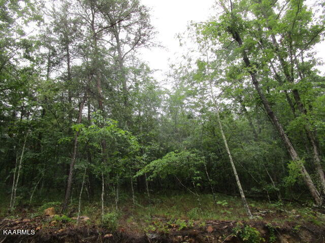 Poor Valley Rutledge, TN 37861 - Photo 11 of 18 IMG_3454