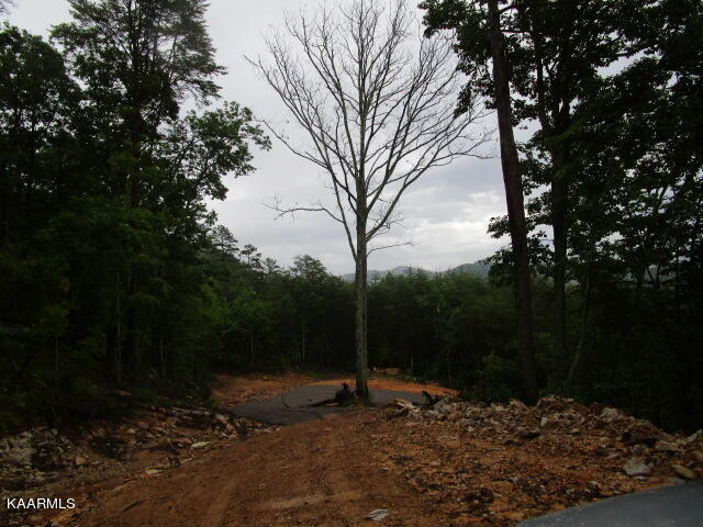 Poor Valley Rutledge, TN 37861 - Photo 12 of 18 IMG_3455