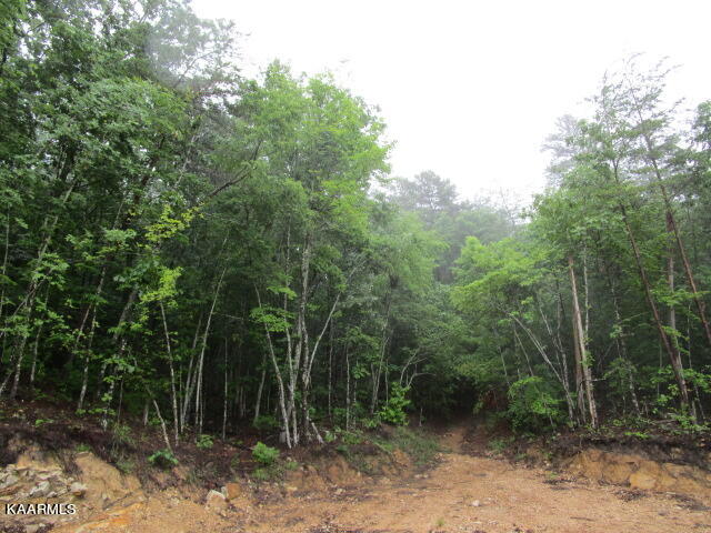 Poor Valley Rutledge, TN 37861 - Photo 14 of 18 IMG_3457