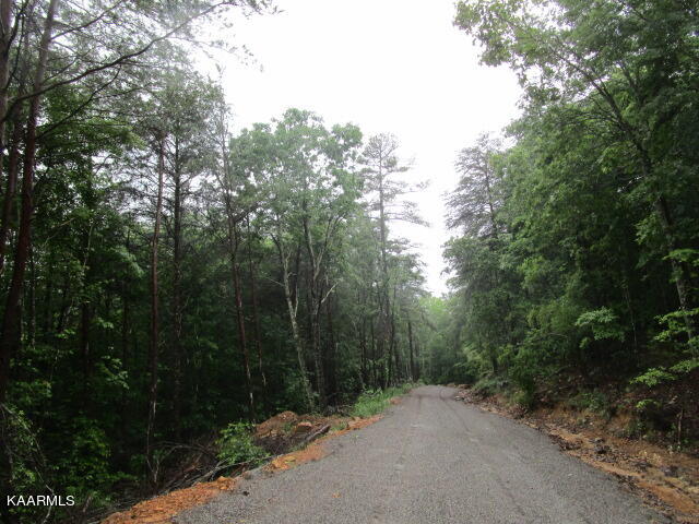 Poor Valley Rutledge, TN 37861 - Photo 15 of 18 IMG_3458